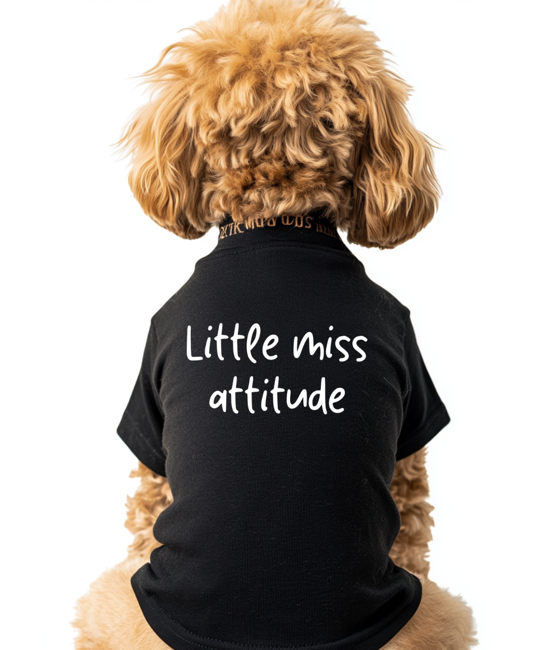 Little Miss Attitude Pet Tee